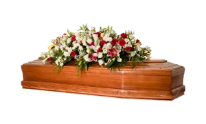 Cofano del pacchetto Funerale Athena